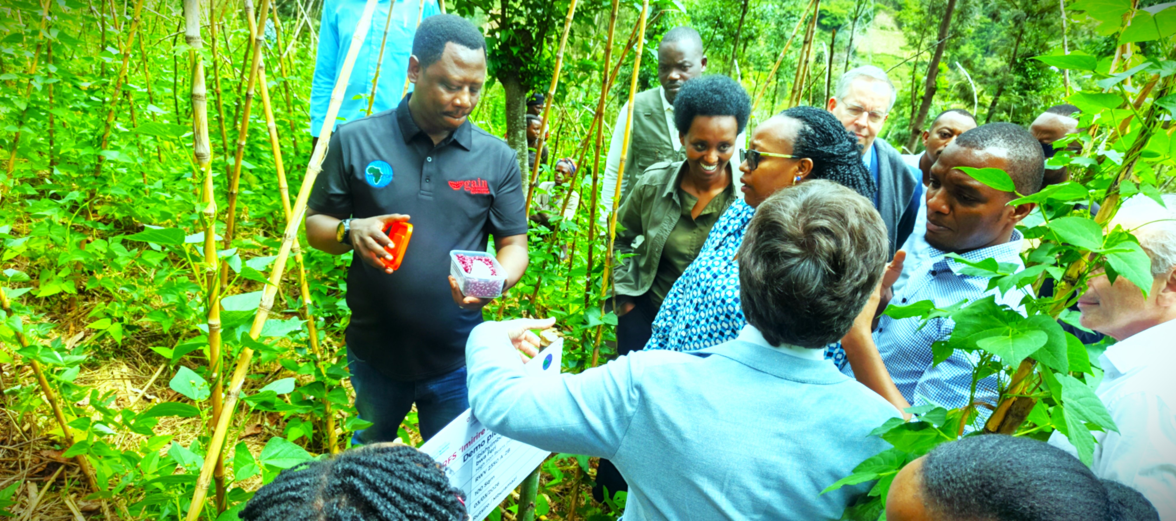 Abashyitsi basuye umurima w'ibishyimbo